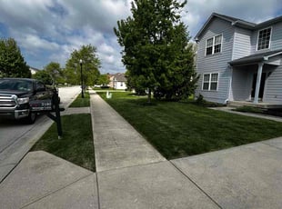 Tamara H.'s grass cutting service result