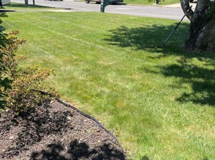 Pradeep R.'s lawn service service result