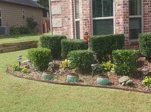Jeffery W.'s Bush Trimming service result