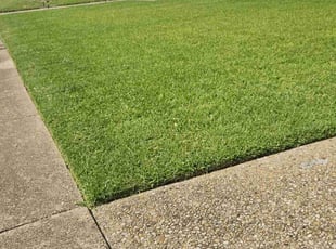 Jill K.'s lawn care services service result