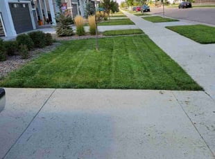 Brianna A.'s grass maintenance service result