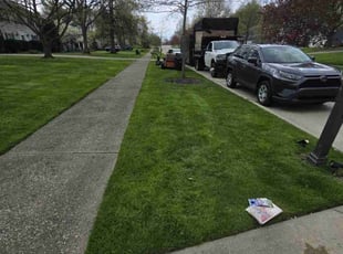JT K.'s grass cutting service result