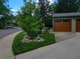 Bahiyah E.'s turf maintenance service result