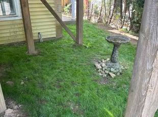 Husam A.'s turf maintenance service result