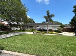 Nancy V.'s grass maintenance service result