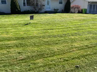 Kathy L.'s lawn care services service result