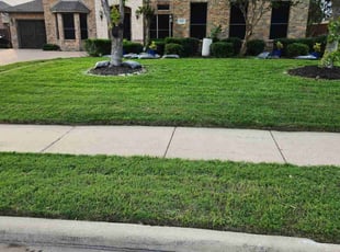 Maryann B.'s turf maintenance service result
