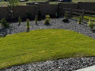 Mariah K.'s turf care service result