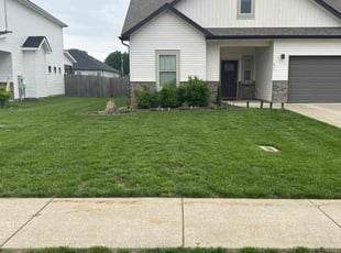 Sasha H.'s turf care service result