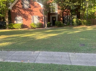 Anna B.'s turf maintenance service result