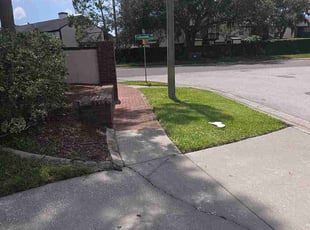 Maya P.'s lawn care service result