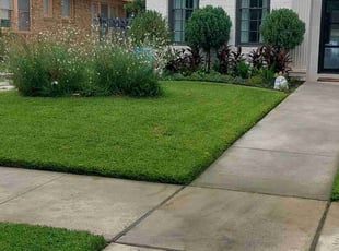 Akeysha B.'s turf care service result