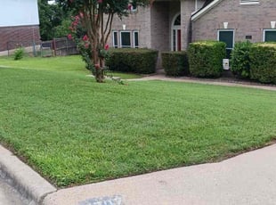 Aaron J.'s turf maintenance service result