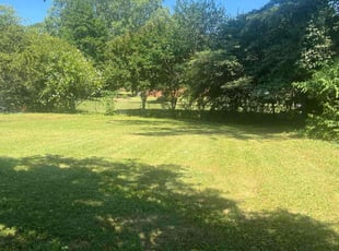 Althia H.'s lawn care service result