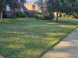 Tara S.'s grass maintenance service result