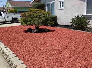 Timothy G.'s Landscaping service result