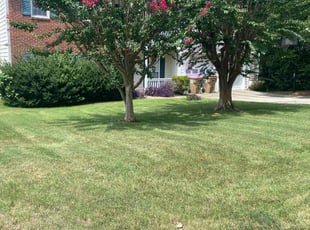 Jen D.'s grass maintenance service result