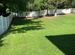 Carol H.'s turf care service result