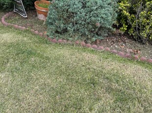 David F.'s Bush Trimming service result