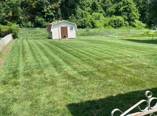 Bill S.'s turf maintenance service result