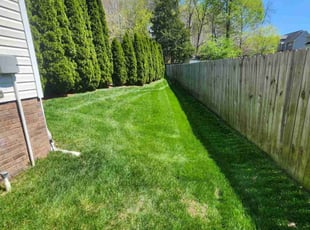Kirin C.'s lawn maintenance service result