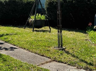 Turkissa H.'s lawn care service result