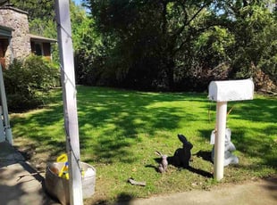 Jackie M.'s grass maintenance service result