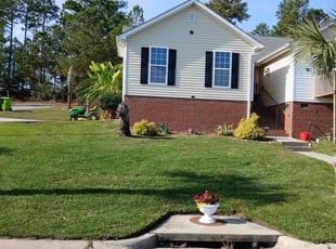 Ruth-Ann R.'s grass maintenance service result