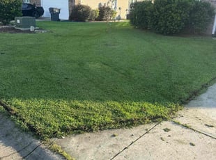 Rita B.'s grass cutting service result