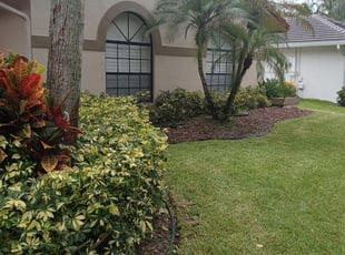 Nicole T.'s Bush Trimming service result