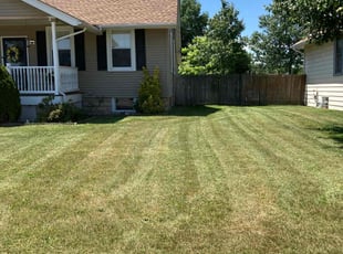 Janis S.'s lawn care service result