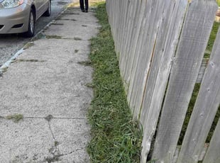 Vickie W.'s lawn maintenance service result