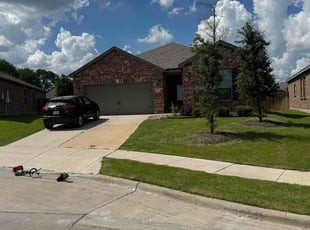 Deanna A.'s lawn care service result