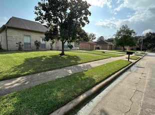 Ruth M.'s turf care service result