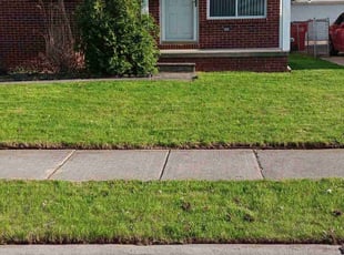 Deshawn V.'s turf care service result