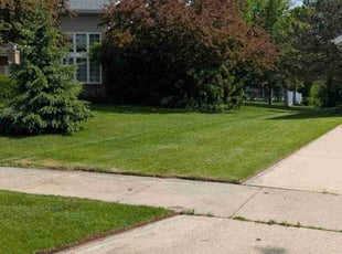 Dru S.'s lawn care service result
