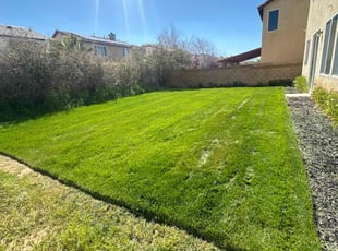 Tracy K.'s lawn maintenance service result