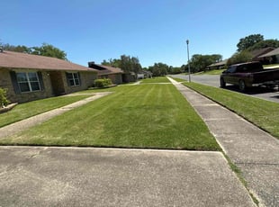 Patrick H.'s grass maintenance service result