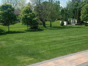 Dale Z.'s grass maintenance service result