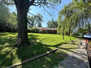 Monica G.'s lawn care service result