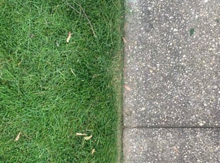 Clayton Q.'s landscaping service result