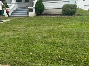 Suzette W.'s lawn care service result