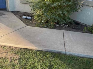 Carlos D.'s Bush Trimming service result