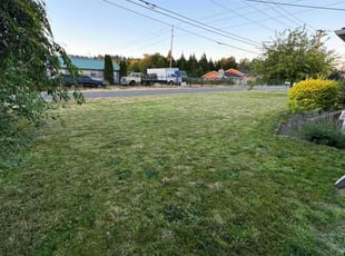 Argie G.'s grass cutting service result