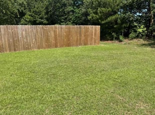 Jason W.'s grass maintenance service result