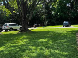 Diane D.'s Bush Trimming service result