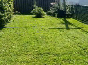 J.R. A.'s lawn maintenance service result