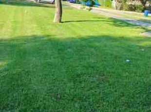 Linda R.'s grass cutting service result