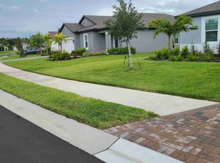 Haocheng Z.'s lawn maintenance service result