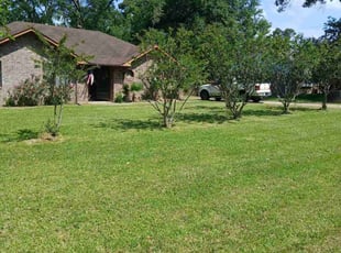 Hue P.'s lawn care service result